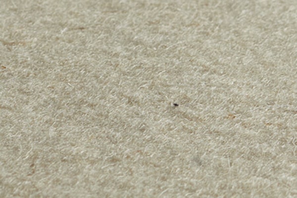 flatcube-merinowolle-110-rohweiss